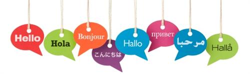 hello 